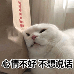 萌宠gif猫gif猫咪gif喵星人gif心情不好gif不想说话gif
