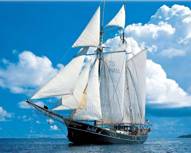 但这类桨帆船队协同完成了很多任务,在风平浪静