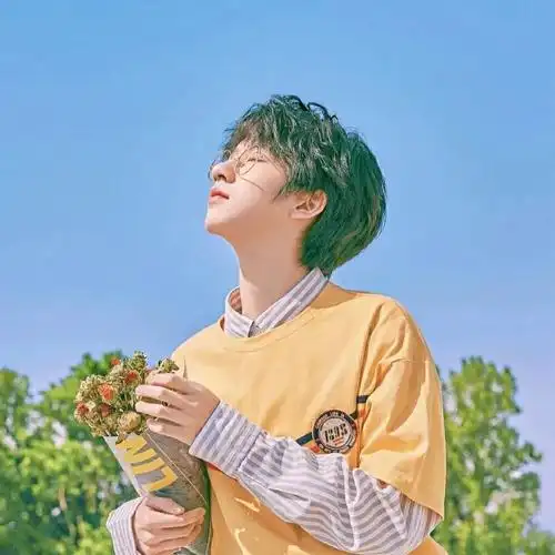 明星头像时代少年团tnt组合头像粉丝留言