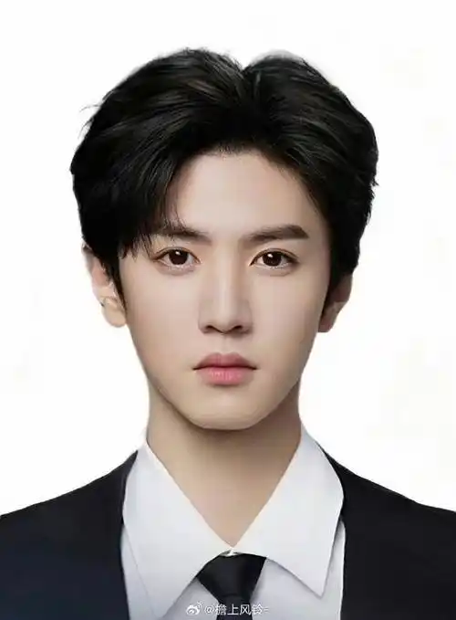 内娱男明星的证件照