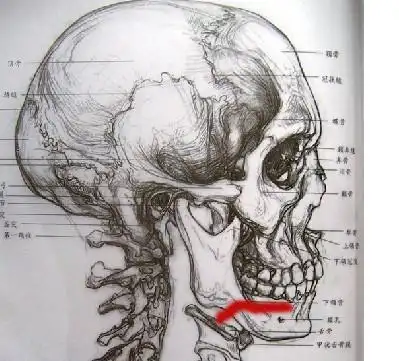 下颚不知道是什么病