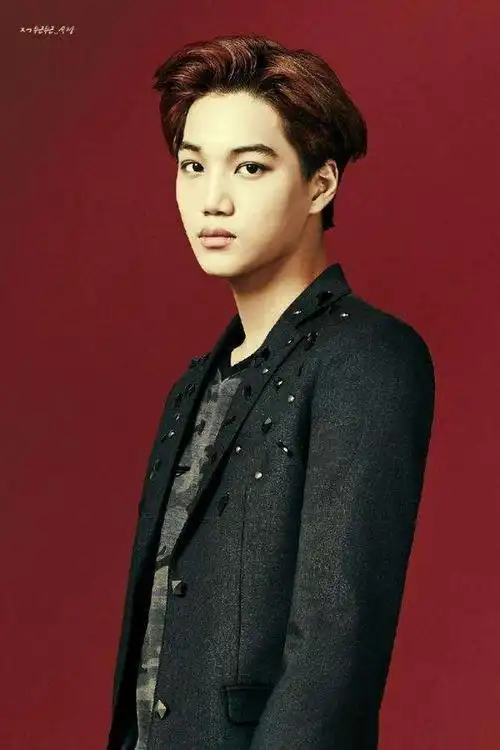 求exo系列单人照