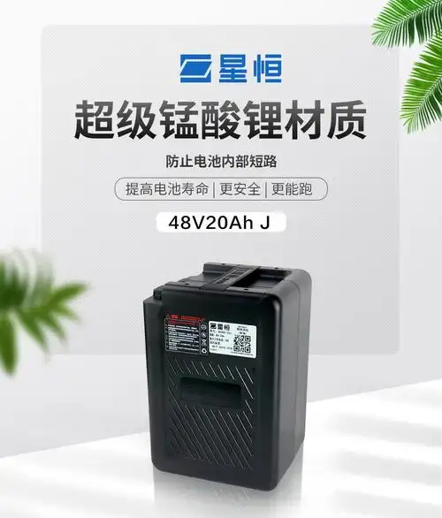 星恒锂电池48v20ahg款新国标电动车锂电池48v48v20ah品字口不含充电器