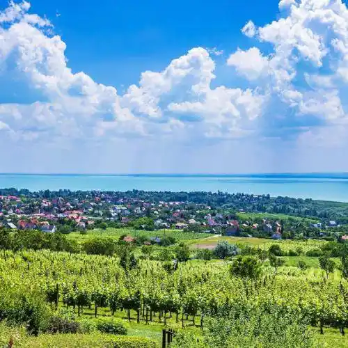 无边的美景微信头像难得一见美了眼醉了心