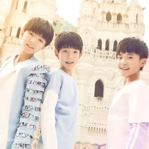 四叶草最喜欢的tfboys