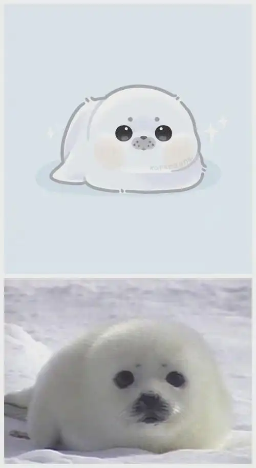 小动物们的表情包漫画,救命,萌翻了!#穿越二次元企划##出道吧新星