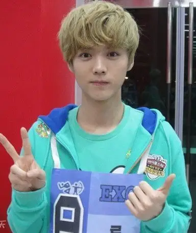 董路点评exo鹿晗踢足球 粉丝调侃"懂鹿"