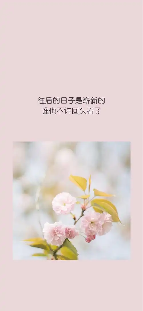 2020年7月9日 0:57   关注  风景壁纸 文字壁纸 锁屏壁纸 抖音热图