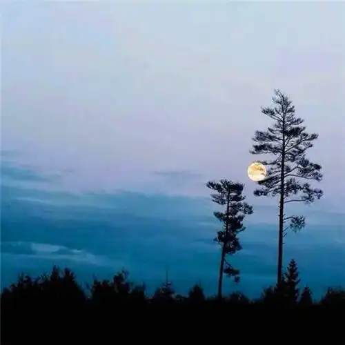 爸爸们爱用的头像 高清适合40岁以上父亲用的头像图片_微信头像_头像