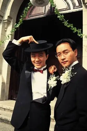 张国荣vs吴彦祖,友友们理性讨论哦.(投