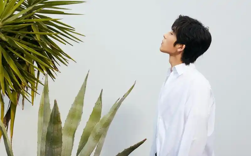 电脑壁纸 明星 大陆明星 井柏然阳光帅气白衬衫休闲小清新写真