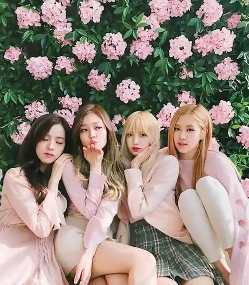 是因为lisa作为韩国女团的成员之一,在世界上面的粉丝是非常多的,所以