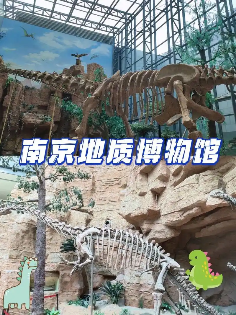 遛娃‖南京地质博物馆 这里绝对是夏季遛娃的一个好去处  门票:免费