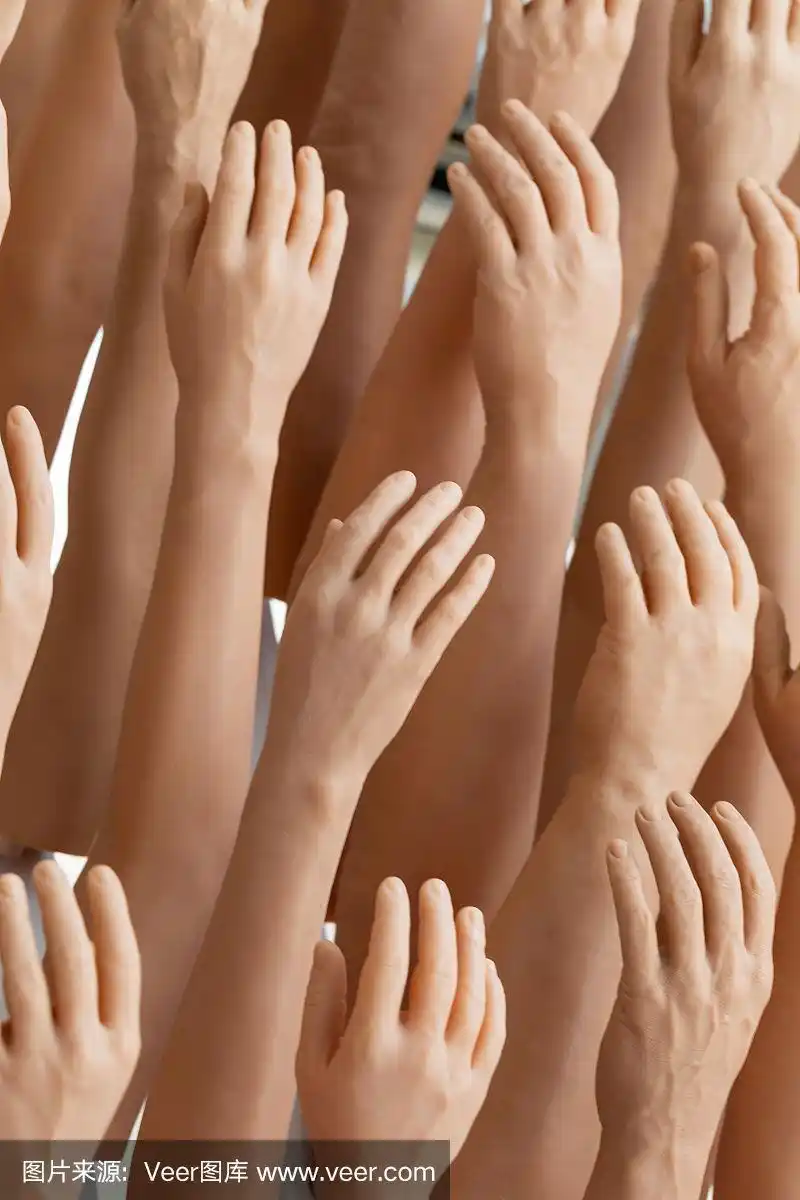 展示男女硅胶假手