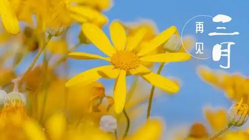 2021三月再见配图,非主流-回车桌面