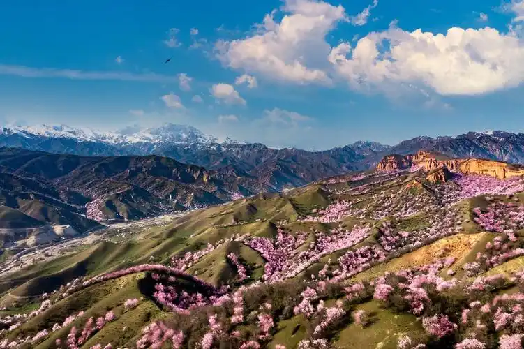 新疆福寿山杏花沟大西沟