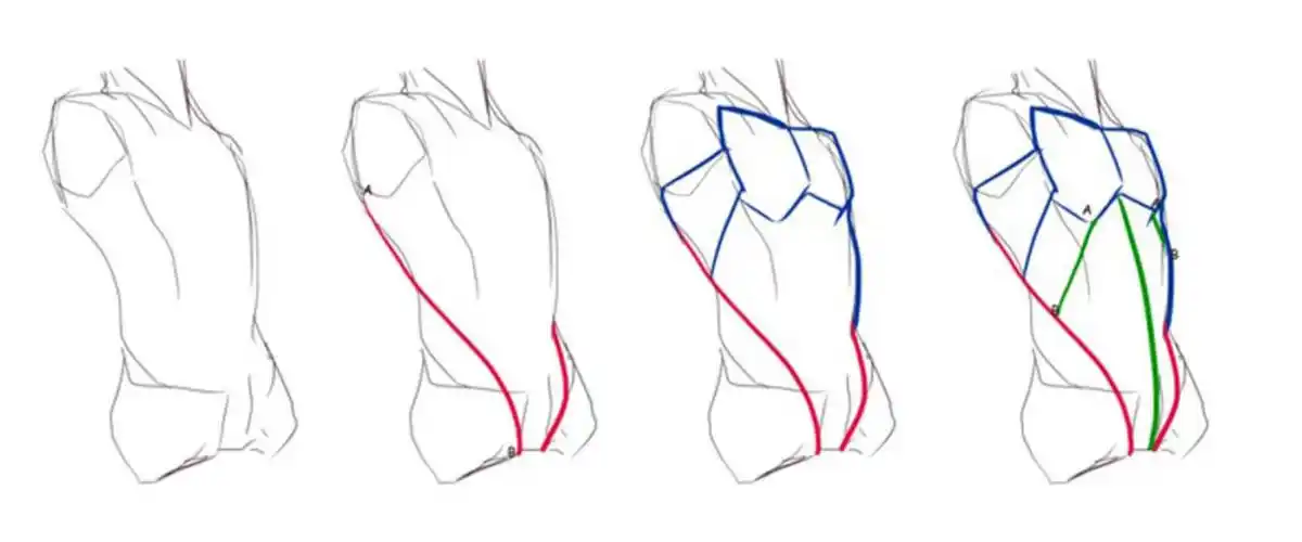 【男神腹肌】画法教程