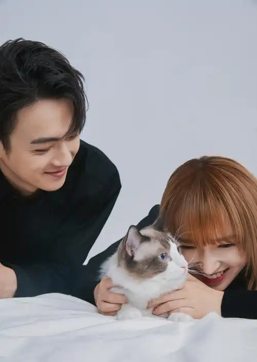 原创许凯程潇新剧开播电视剧台词引发争议女方演技堪忧