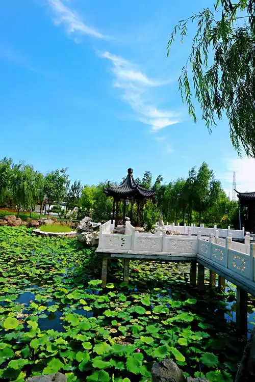 【瞎转瞎拍2020-100-916期】大美康巴什~身边的江南美景·榆兰园及
