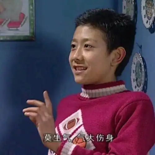 莫生气 气大伤身(家有儿女刘星)