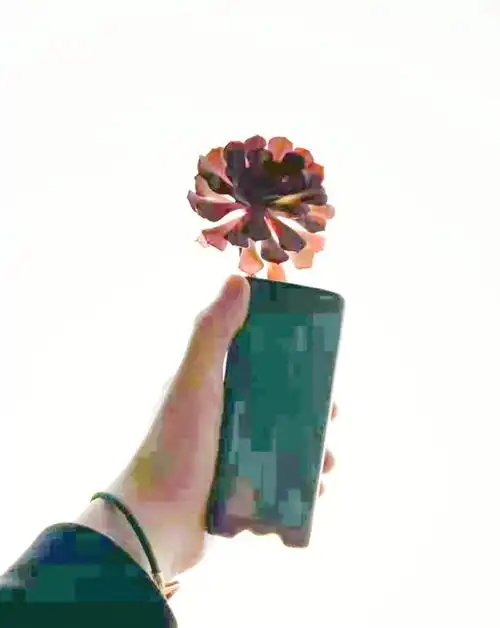 小丁这颗是单头老桩#丁程鑫  #tnt时代少年团