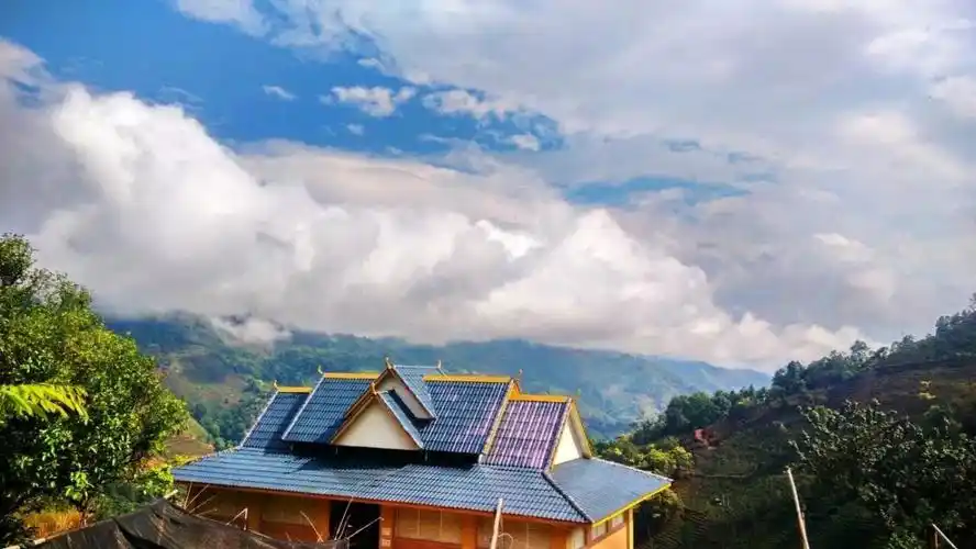 临沧顶级名山头|冰岛老寨