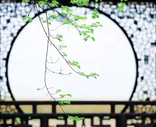 看最美的四月,天高云淡风轻.