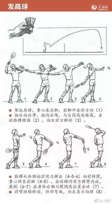 【运动】羽毛球基础动作图解