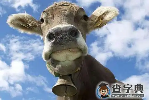 笑喷,叫人凌乱的职场笑话,职场笑话