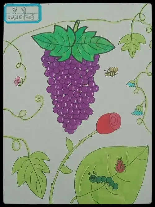 双龙小学优秀美术作品(五)