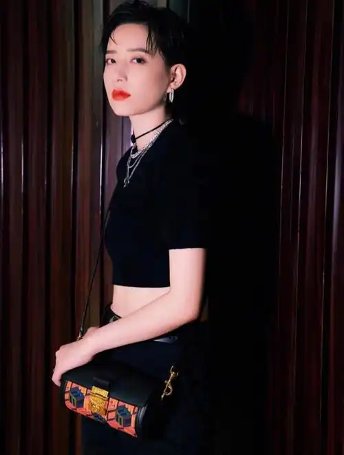 星包记李斯丹妮