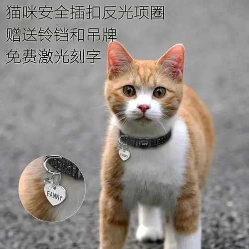 猫咪幼猫安全插扣反光项圈 刻字牌