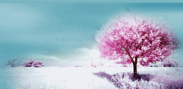 【gif-动图】—音画制作必备(音画素材) - 夕阳无限美的日志 - 网易