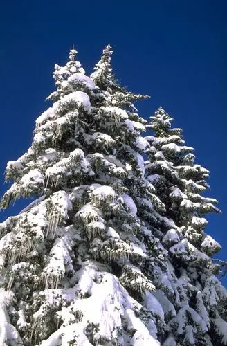 中国photoshop资源网 ps素材 ps素材 风景如画 草木森林 >> 正文