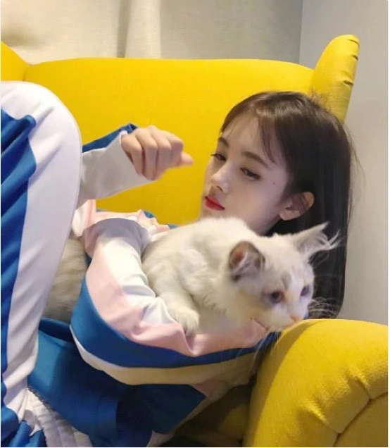 鞠婧祎晒出自己的豪宅,全屋设计简约风格,年轻人进门就喜欢了