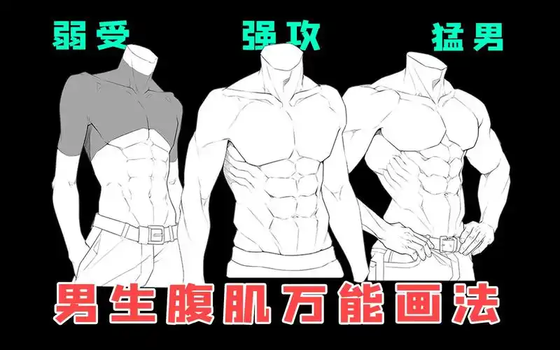 【板绘教程】有手就行の,不同类型腹肌画法!