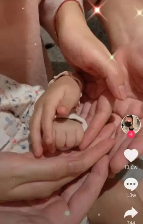 3月17日陈赫晒一家四口握手照公开张子萱生二胎喜讯,安安有姐姐了