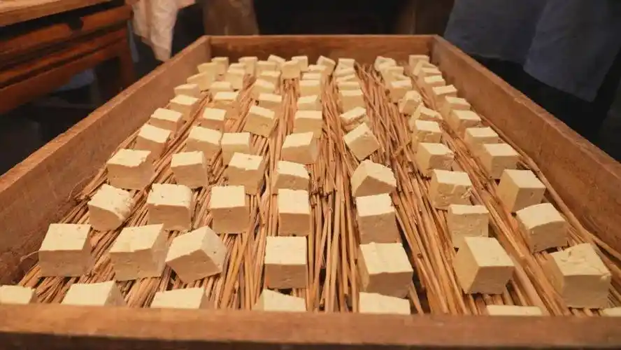 舌尖上的非遗!越西豆腐乳制作技艺,留住了乡愁!