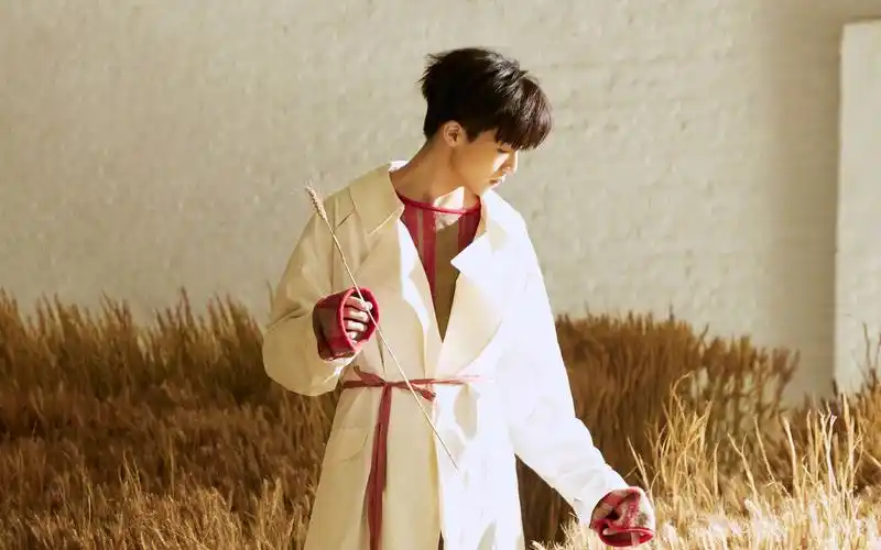 首页 桌面壁纸 大陆明星 陈立农杂志写真图片桌面壁纸