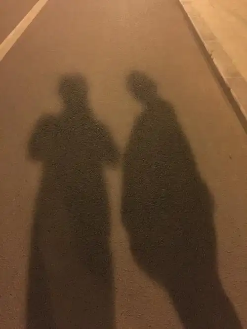 晚上和老公散步,巨肚的影子很有气场,有木有?