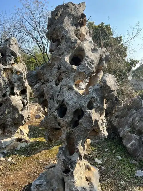 老皮太湖石造景必备
