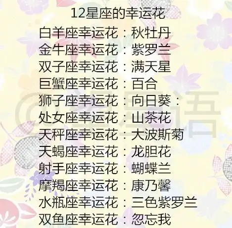 12星座的幸运花