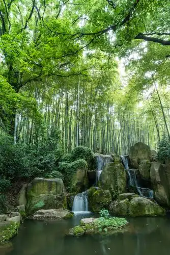 中国苏州虎丘山的卷石勺水石刻和竹林泉水