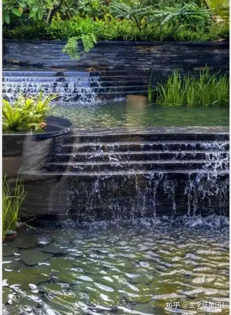 景观中水景设计 - 知乎