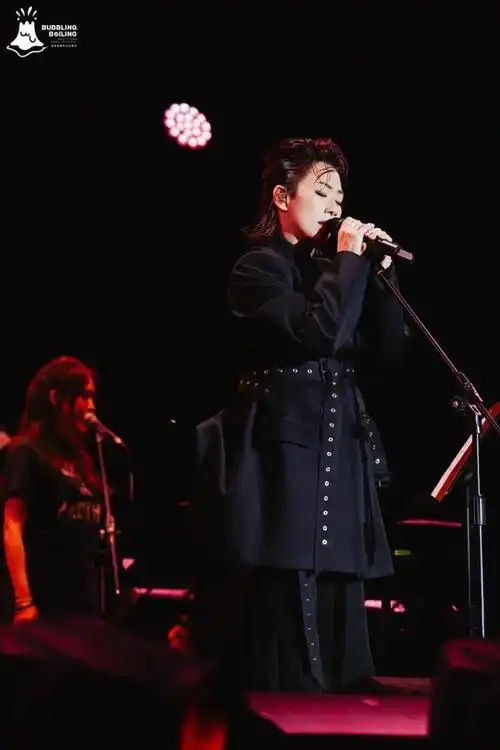 乐队|陈粒|乐迷|林忆莲|音乐作品_网易订阅