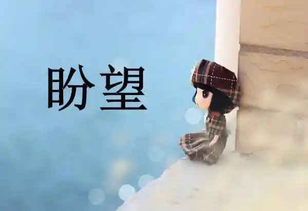 等待的近义词是什么期待的近义词是什么