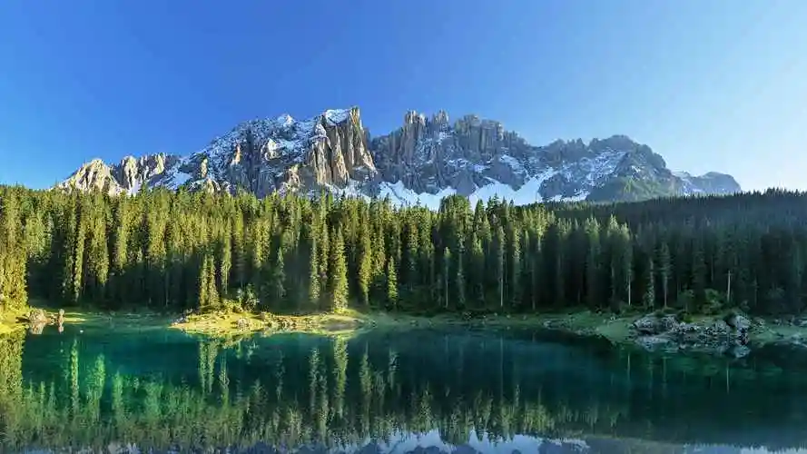 视野开阔绿色大自然图片真实-风景壁纸 - 壁纸家