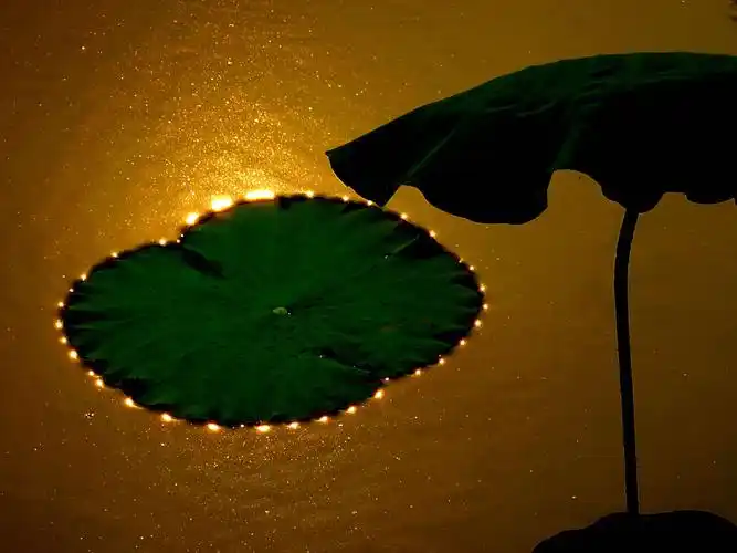 和摄影一一光影摄影时我喜欢用"二次型光"进行辅助构图