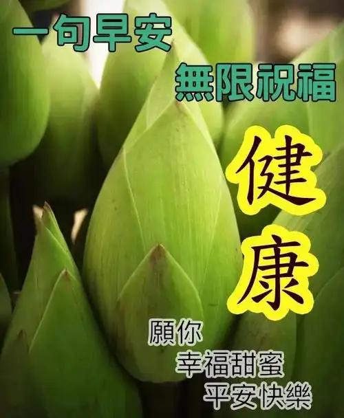 唯美早上好问候语图片带字精选早安祝福问候精选漂亮图片