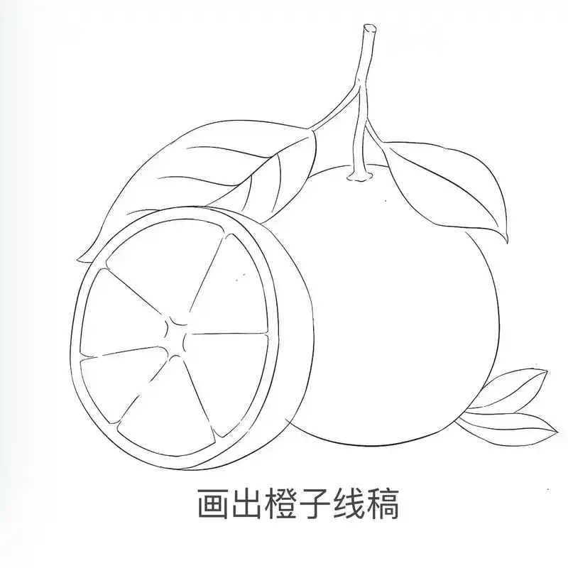 零基础绘画水果橙子画法.#procreate绘画 #插画 # - 抖音